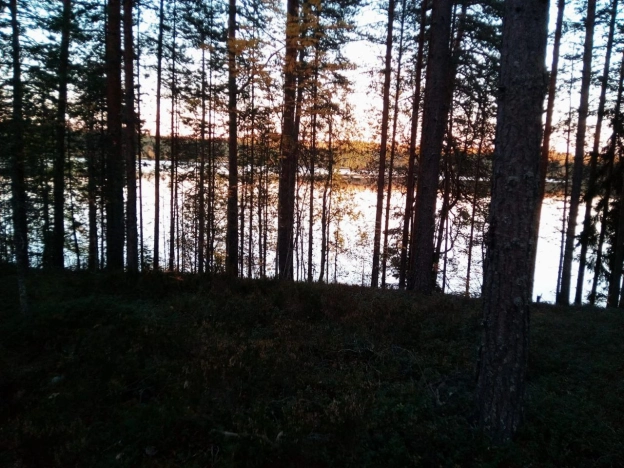 Купить земельный участок в Республике Карелия. Вариант № 20678, 3, площадь -  квм, цена 7500000 рублей