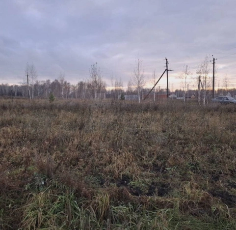 Купить земельный участок в Новосибирске. Вариант № 9269916, 5, площадь -  квм, цена 1100000 рублей