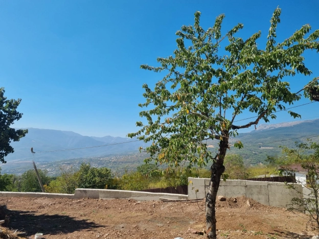 Купить земельный участок в Республике Крым. Вариант № 3776868, 8, площадь -  квм, цена 6200000 рублей