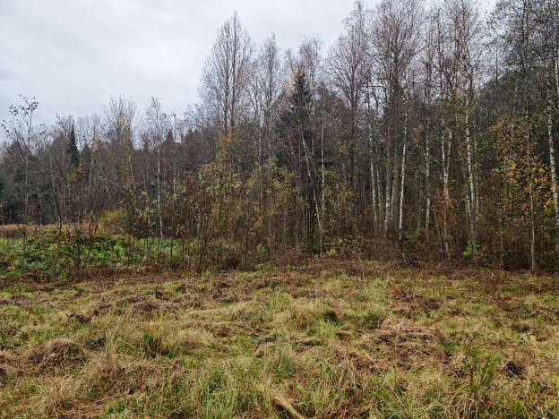 Купить земельный участок в Санкт-Петербурге. Вариант № 10958616, 9, площадь - квм, цена 1900000 рублей