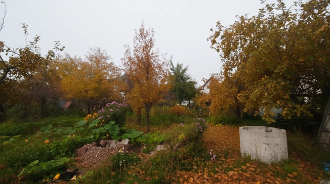 Купить земельный участок в Калининграде. Вариант № 9698643, 5, площадь -  квм, цена 3300000 рублей