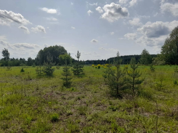 Купить земельный участок в Коврове. Вариант № 1313231, 4, площадь -  квм, цена 950000 рублей