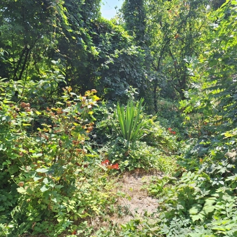 Купить земельный участок на улице 32-я Линия в Ростове-на-Дону. Вариант № 52276, 3, площадь -  квм, цена 3100000 рублей