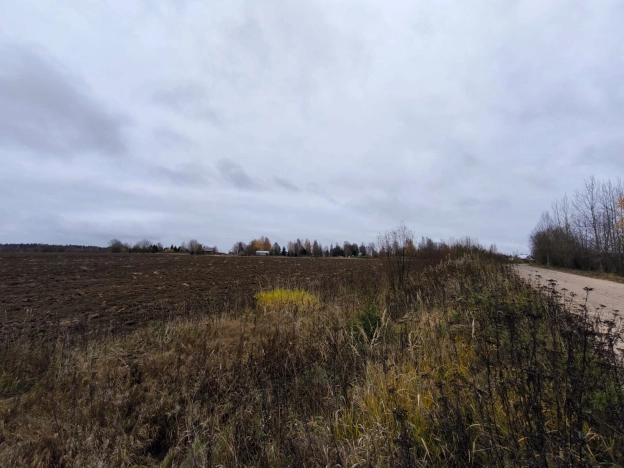 Купить земельный участок в Вологодской области. Вариант № 8075276, 2, площадь -  квм, цена 5300000 рублей