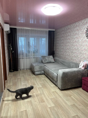 Снять квартиру в Пермском крае. Вариант № 10351139, 0, площадь -  квм, цена 20000 рублей