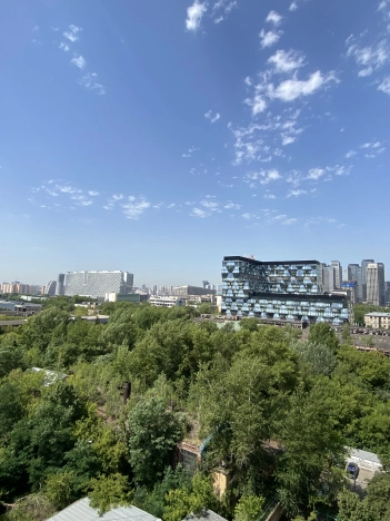 Купить квартиру на улице Ленинградский проспект в Москве. Вариант № 8963, 21, площадь - квм, цена 22000000.0000 рублей