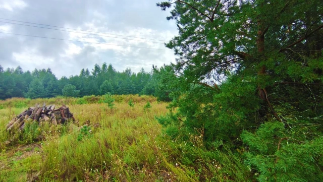 Купить земельный участок на улице Журавлиха в Владимире. Вариант № 44659, 10, площадь -  квм, цена 2000000 рублей