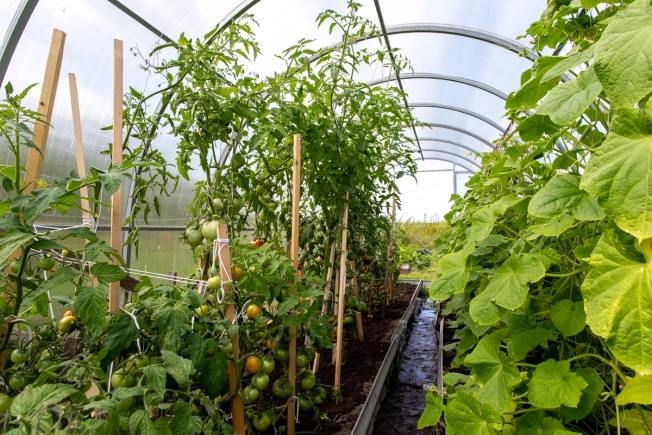 Купить дом в Судогде. Вариант № 2743, 29, площадь -  квм, цена 3200000 рублей