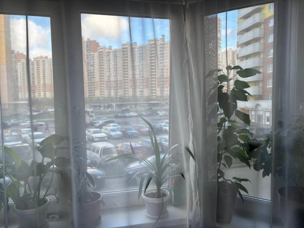 Купить двухкомнатную квартиру в районе Приморский в Санкт-Петербурге. Вариант № 45636, 6, площадь -  квм, цена 12990000 рублей