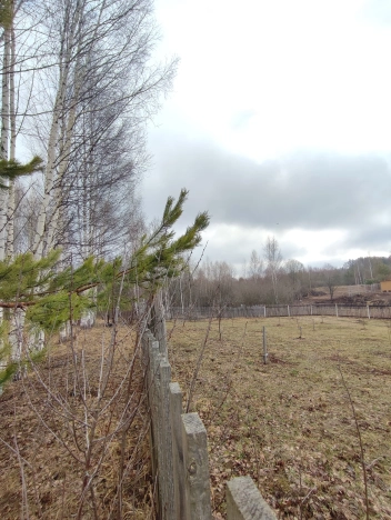 Купить земельный участок в Нижегородской области. Вариант № 31873, 20, площадь -  квм, цена 1150000 рублей