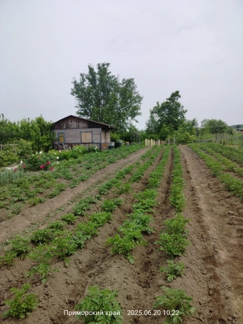 Купить земельный участок в Арсеньеве. Вариант № 54243, 8, площадь -  квм, цена 500000 рублей