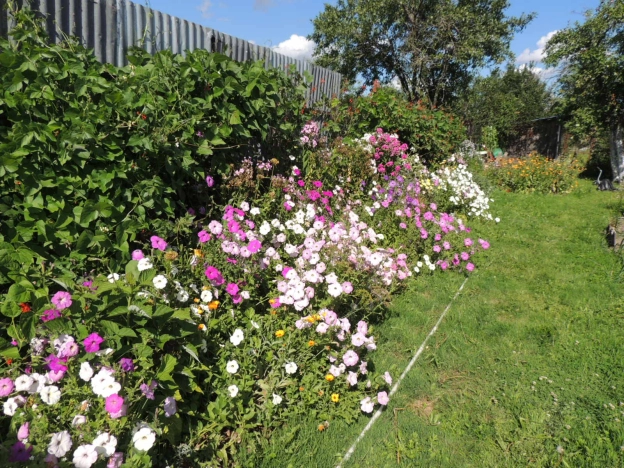 Купить дом в Петушках. Вариант № 11843, 21, площадь -  квм, цена 2400000 рублей