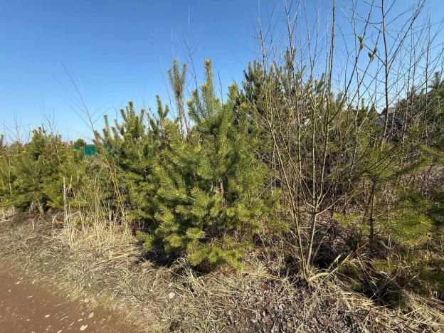 Купить земельный участок в Раменском. Вариант № 37526, 3, площадь -  квм, цена 100000 рублей