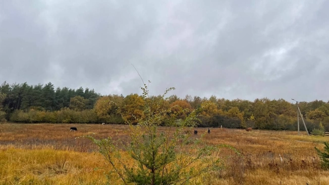 Купить дом на улице Советский переулок в Воронежской области. Вариант № 43189, 35, площадь -  квм, цена 8200000 рублей