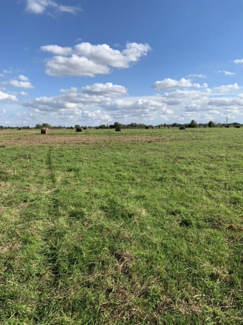 Купить земельный участок в Зеленоградске. Вариант № 47649, 0, площадь -  квм, цена 3900000 рублей