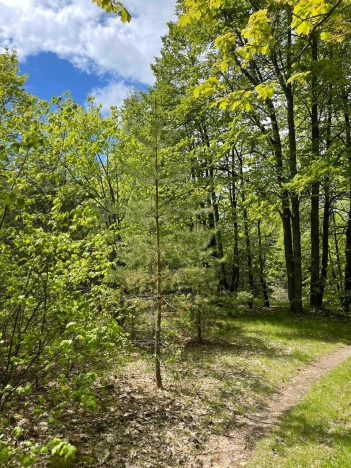 Купить земельный участок в Покрове. Вариант № 28968, 8, площадь -  квм, цена 21500000 рублей