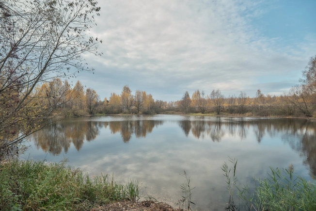 Купить дом на улице Щедрина в Рязани. Вариант № 8337920, 32, площадь -  квм, цена 3200000 рублей