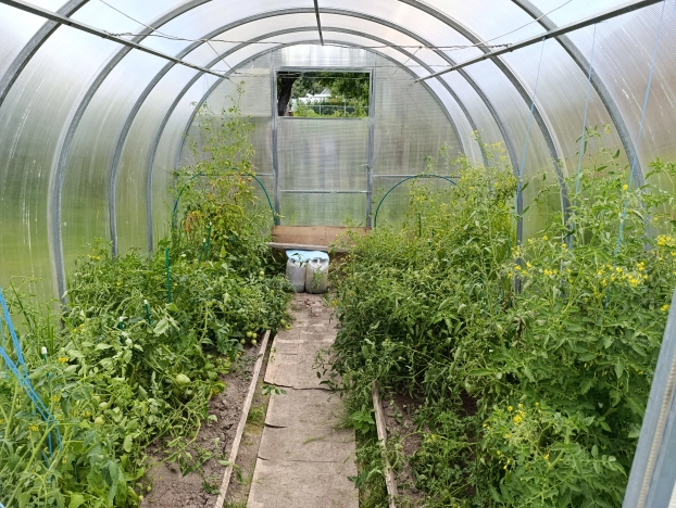 Купить дачу в Владимирской области. Вариант № 10751, 11, площадь -  квм, цена 630000 рублей