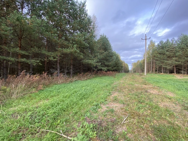 Купить земельный участок на улице Загородная в Ярославской области. Вариант № 18994, 3, площадь -  квм, цена 8000000 рублей