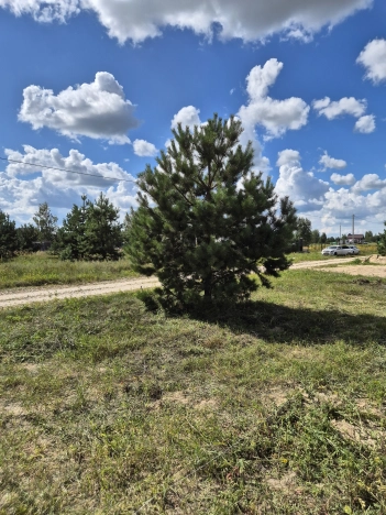 Купить дом в Рязани. Вариант № 2567747, 7, площадь - квм, цена 7999999 рублей