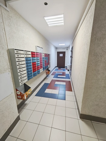 Купить Студию у метро Владимирская в Санкт-Петербурге. Вариант № 3792332, 12, площадь -  квм, цена 4800000 рублей