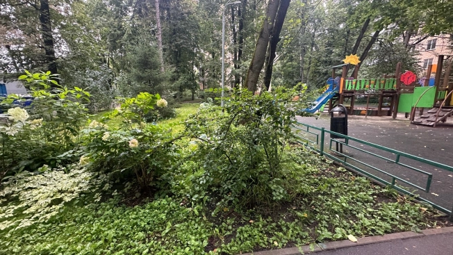 Купить квартиру в Москве. Вариант № 3081388, 23, площадь - квм, цена 20500000.0000 рублей