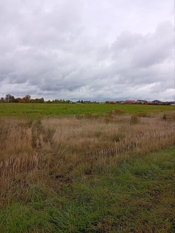 Купить земельный участок на улице 8-я линия в Нижегородской области. Вариант № 5447174, 3, площадь -  квм, цена 50000000 рублей