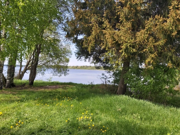 Купить земельный участок на улице Загородная в Ярославской области. Вариант № 649, 0, площадь -  квм, цена 7150000 рублей