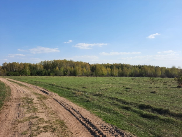 Купить земельный участок в Коврове. Вариант № 2422, 6, площадь -  квм, цена 99000 рублей