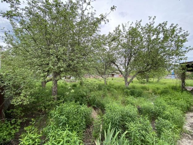 Купить земельный участок в Воронеже. Вариант № 16290, 8, площадь -  квм, цена 2600000 рублей