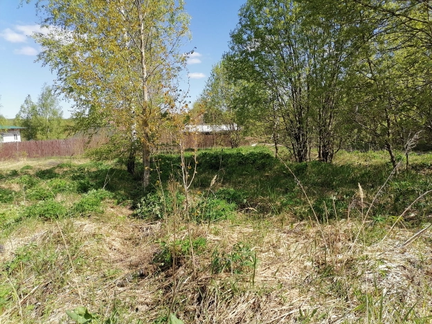 Купить земельный участок на улице Старая Сойма в Владимирской области. Вариант № 4649, 5, площадь - квм, цена 390000 рублей