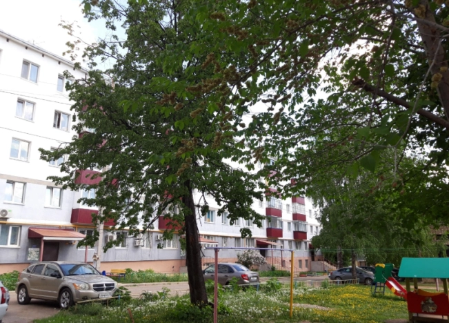 Купить трехкомнатную квартиру в Республике Башкортостан. Вариант № 23650, 14, площадь -  квм, цена 4400000 рублей