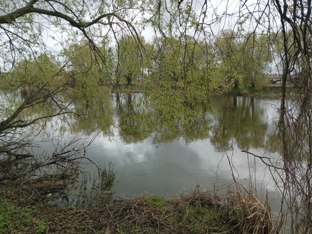 Купить дом в Рязани. Вариант № 1895, 7, площадь -  квм, цена 1350000 рублей