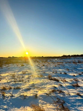 Купить земельный участок в Вологодской области. Вариант № 9291, 0, площадь -  квм, цена 900000 рублей