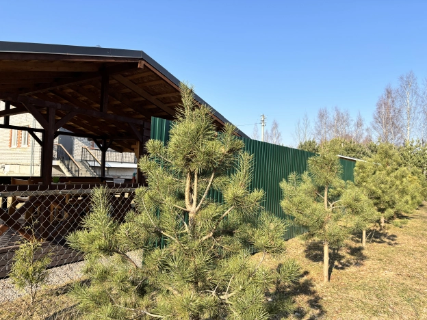 Купить дом на улице Старая Ляча в Ярославской области. Вариант № 31498, 4, площадь -  квм, цена 20000000 рублей