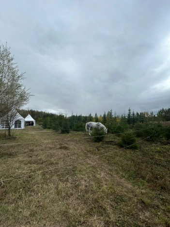 Купить земельный участок в Туле. Вариант № 58432, 2, площадь -  квм, цена 2500000 рублей