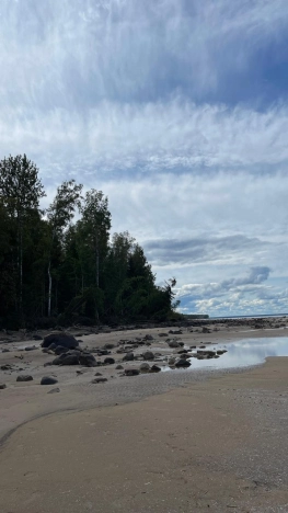 Купить земельный участок на улице Загородная в Ярославской области. Вариант № 3843, 1, площадь -  квм, цена 12000000 рублей