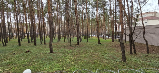 Купить двухкомнатную квартиру в Воронеже. Вариант № 9220956, 23, площадь - квм, цена 5750000 рублей