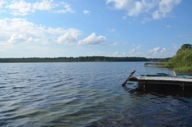 Купить земельный участок в Республике Карелия. Вариант № 20673, 1, площадь -  квм, цена 6000000 рублей