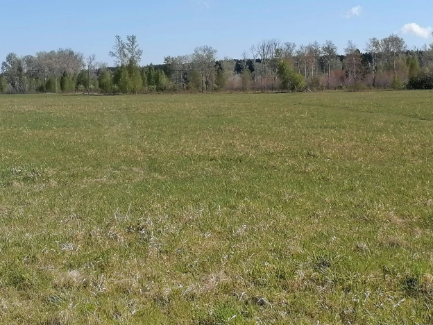 Купить земельный участок в Новосибирске. Вариант № 44375, 4, площадь -  квм, цена 750000 рублей