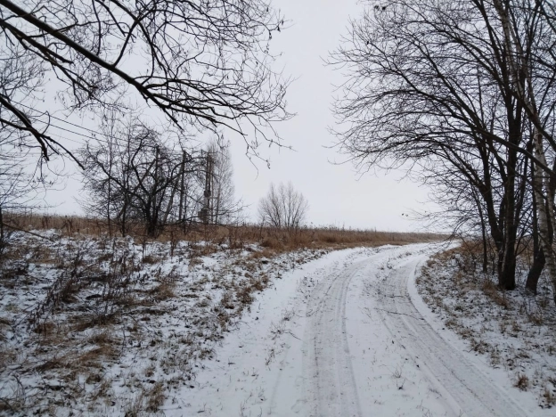 Купить земельный участок в Тульской области. Вариант № 19500, 16, площадь -  квм, цена 495000 рублей