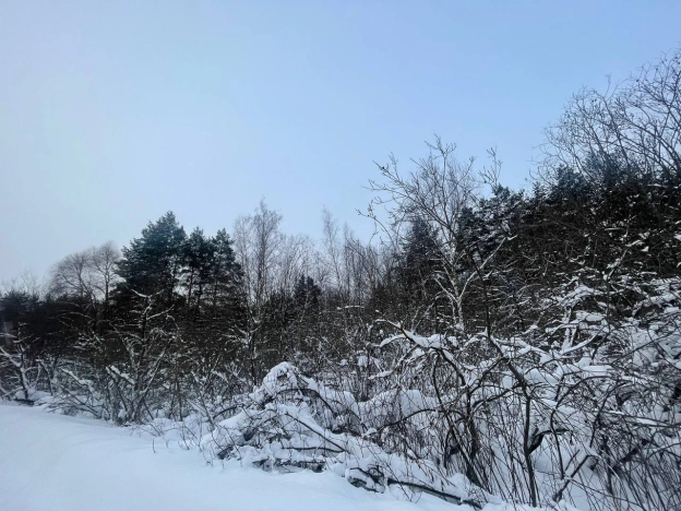 Купить земельный участок в Юрьеве-Польском. Вариант № 4817, 4, площадь -  квм, цена 500000 рублей