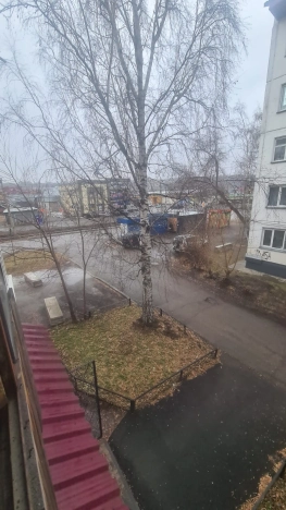 Купить квартиру в Алтайском крае. Вариант № 10022577, 18, площадь -  квм, цена 3900000 рублей