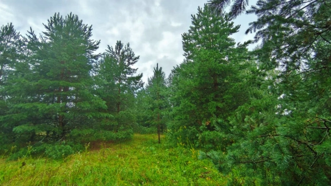 Купить земельный участок на улице Журавлиха в Владимире. Вариант № 44659, 9, площадь -  квм, цена 2000000 рублей