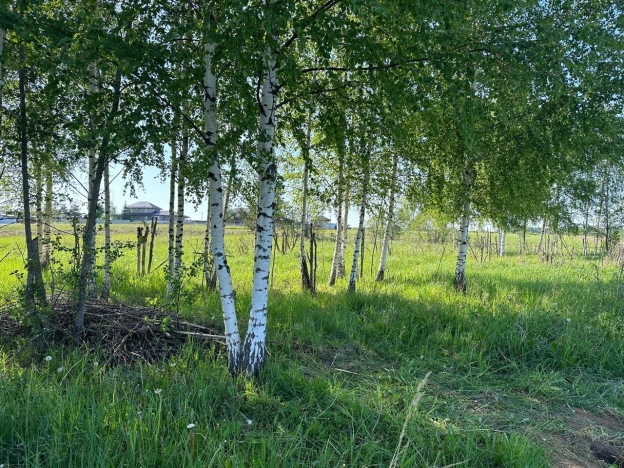 Купить земельный участок в Сергиеве Посаде. Вариант № 13696, 0, площадь -  квм, цена 350000 рублей