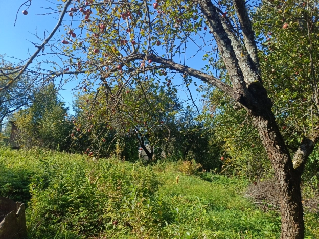 Купить земельный участок в районе Октябрьский в Владимире. Вариант № 1929305, 2, площадь -  квм, цена 700000 рублей