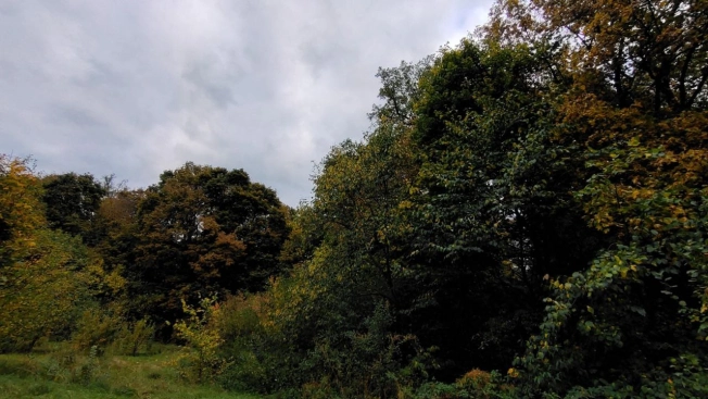 Купить дом в Воронеже. Вариант № 1296614, 32, площадь -  квм, цена 5500000 рублей