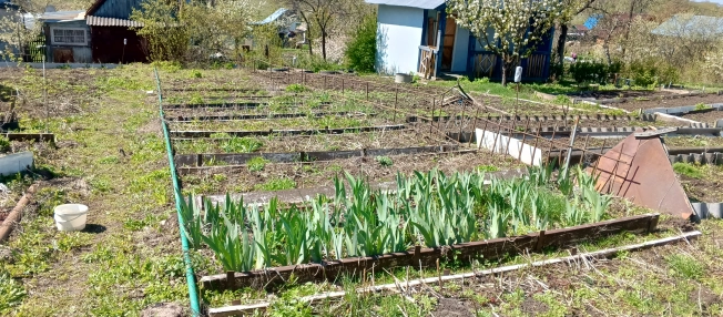 Купить дачу в Московской области. Вариант № 40291, 5, площадь -  квм, цена 1000000 рублей
