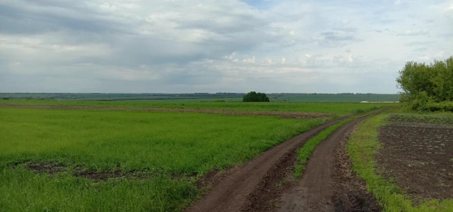 Купить земельный участок в Семилуках. Вариант № 608, 4, площадь -  квм, цена 415000 рублей