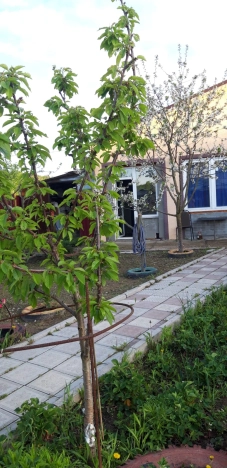 Купить дом в Владимире. Вариант № 7310, 42, площадь - квм, цена 9100000 рублей